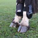 Hy Equestrian Pro Fetlock Boots - Black additional 3