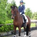 Hy Equestrian Roka Royal Breeches - White with Rose Gold Diamantes additional 22