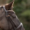 Hy Equestrian Rosciano Rose Gold Bridle - Brown/Rose Gold additional 3