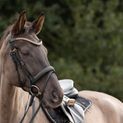Hy Equestrian Rosciano Rose Gold Browband - Pony additional 4