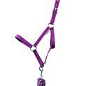Hy Equestrian Synergy Head Collar &amp; Lead Rope - Fig/Silver additional 1