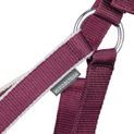 Hy Equestrian Synergy Head Collar &amp; Lead Rope - Fig/Silver additional 2