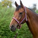 Hy Equestrian Woven Polo Head Collar and Lead Rope - Aqua/Fig additional 3