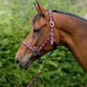 Hy Equestrian Woven Polo Head Collar and Lead Rope - Navy/Red additional 3