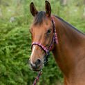 Hy Equestrian Woven Polo Head Collar and Lead Rope - Navy/Red additional 4