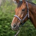 Hy Equestrian Woven Polo Head Collar and Lead Rope - Navy/Rose additional 8