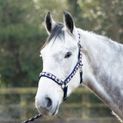 Hy Equestrian Woven Polo Head Collar and Lead Rope - Navy/Rose additional 10