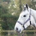 Hy Equestrian Woven Polo Head Collar and Lead Rope - Navy/Rose additional 7