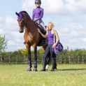 Hy Sport Active Brushing Boots - Royal Violet additional 7