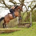 Hy Sport Active Close Contact Saddle Pad - Desert Sand additional 7