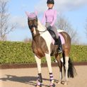Hy Sport Active Dressage Saddle Pad - Blooming Lilac additional 4