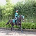 Hy Sport Active Fly Veil - Alpine Green additional 13