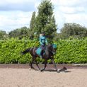 Hy Sport Active Fly Veil - Alpine Green additional 6