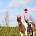 Hy Sport Active Fly Veil - Blooming Lilac additional 7