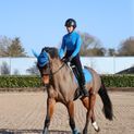 Hy Sport Active Fly Veil - Jewel Blue additional 3