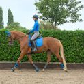 Hy Sport Active Fly Veil - Jewel Blue additional 4