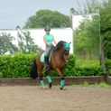 Hy Sport Active Fly Veil - Spearmint Green additional 5