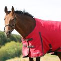 HyCONIC 100g Turnout Rug - Red/Charcoal additional 13