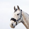 HyCONIC Faux Fur Head Collar &amp; Lead Rope - Black additional 4