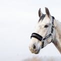 HyCONIC Faux Fur Head Collar &amp; Lead Rope - Black additional 2