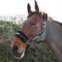 HyCONIC Faux Fur Head Collar &amp; Lead Rope - Black additional 4