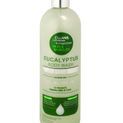 Magic Refresh Eucalyptus Wash by Hy Equestrian additional 1