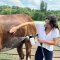 Parallax Equi Bathe Pro additional 5