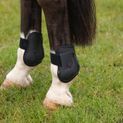 ProReaction Armoured Guard Fetlock Boot by Hy Equestrian - Black additional 1