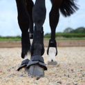 ProReaction Armoured Guard Over Reach Boots by Hy Equestrian - Black additional 7