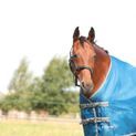 StormX Empra 50 Turnout Rug - Teal additional 4