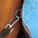 StormX Empra 50 Turnout Rug - Teal additional 5