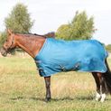 StormX Empra 50 Turnout Rug - Teal additional 10