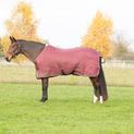 StormX Empra Luxury Show Rug - Burgundy/Cream additional 8