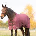 StormX Empra Luxury Show Rug - Burgundy/Cream additional 10