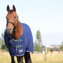 StormX Empra Opulence Fleece Rug - Navy/Teal additional 2