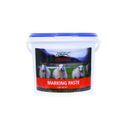 Agrimark Marking Paste - Orange additional 5