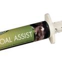 Baileys Foal Assist Syringe additional 1