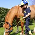Be Brave Tots Jodhpurs by Little Knight - Navy/Yellow additional 1