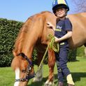 Be Brave Tots Jodhpurs by Little Knight - Navy/Yellow additional 2