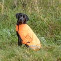 Benji &amp; Flo Reflector Waterproof Dog Coat by Hy Equestrian - Orange additional 2