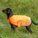 Benji &amp; Flo Reflector Waterproof Dog Coat by Hy Equestrian - Orange additional 1
