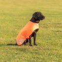 Benji &amp; Flo Reflector Waterproof Dog Coat by Hy Equestrian - Orange additional 3