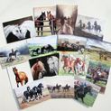 Caroline Cook Equestrian Cards additional 11