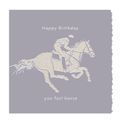 Deckled Edge Colour Block Pony Card additional 3