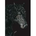 Deckled Edge Eureka! A4 Print - The Friesian additional 1
