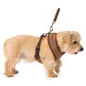 House of Paws Memory Foam Harness - Brown Tweed additional 2