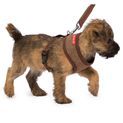 House of Paws Memory Foam Harness - Brown Tweed additional 3
