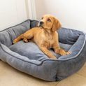 House of Paws Velvet Square Bed - Grey additional 2