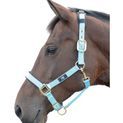 Hy Equestrian Deluxe Padded Head Collar - Bright Blue additional 9