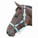 Hy Equestrian Deluxe Padded Head Collar - Bright Blue additional 2